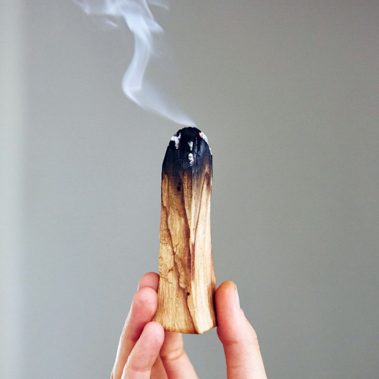 PALO SANTO puu (1 tk) VÄEESEMED PALO SANTO puu (1 tk) VÄEESEMED